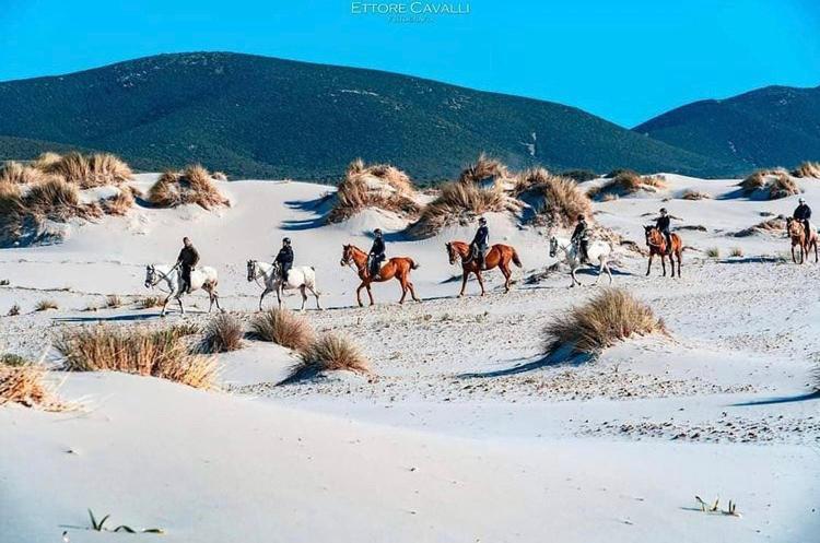 Domus Deiana Case Vacanza ซานโจวานนีซูแอร์จู ภายนอก รูปภาพ