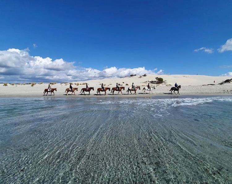 Domus Deiana Case Vacanza ซานโจวานนีซูแอร์จู ภายนอก รูปภาพ