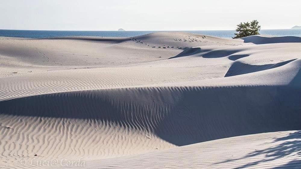 Domus Deiana Case Vacanza ซานโจวานนีซูแอร์จู ภายนอก รูปภาพ